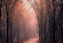 高迪：赛季第一胜 保持谦逊 再接再厉 任重道远！.