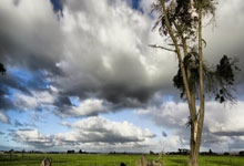 阿特金森:我们整场都被压着打 这种表现活该我们吞败仗.