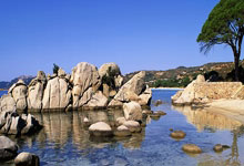 开云体育：郎平再获荣誉！运动员和教练期间多次创造历史，是中国女排第一人.